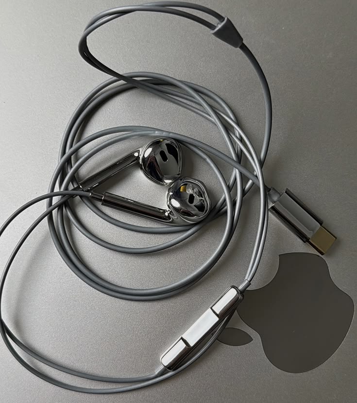 Chrome Wired Earbuds